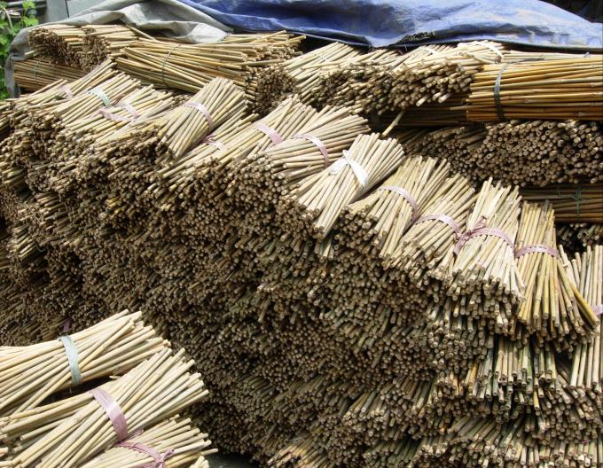 گیاهان گلدان دار برای گیاهان داخلی و خارجی 3