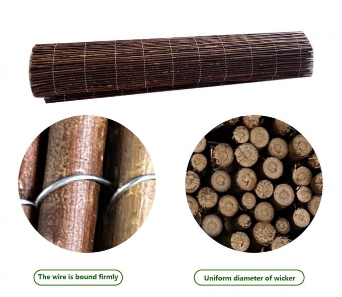 شاخه های بید طبیعی برای پس زمینه ای عالی و راه حل حفظ حریم خصوصی 1