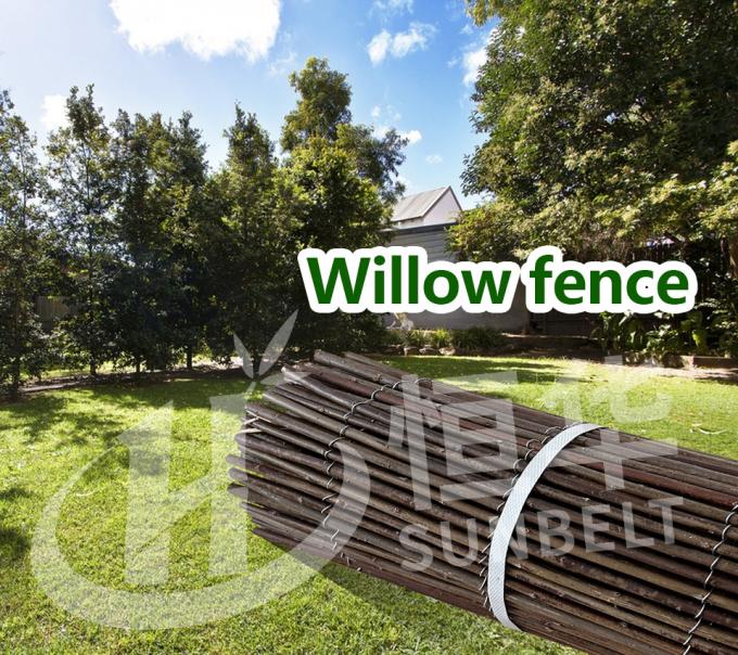 شاخه های بید طبیعی برای پس زمینه ای عالی و راه حل حفظ حریم خصوصی 0