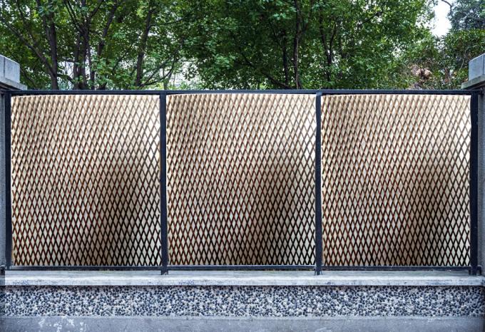 شاخه های بید طبیعی برای پس زمینه ای عالی و راه حل حفظ حریم خصوصی 2