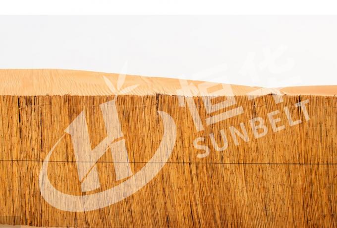 حصار نی: راهی سازگار با محیط زیست و چند منظوره برای افزودن حریم خصوصی و سایه 4