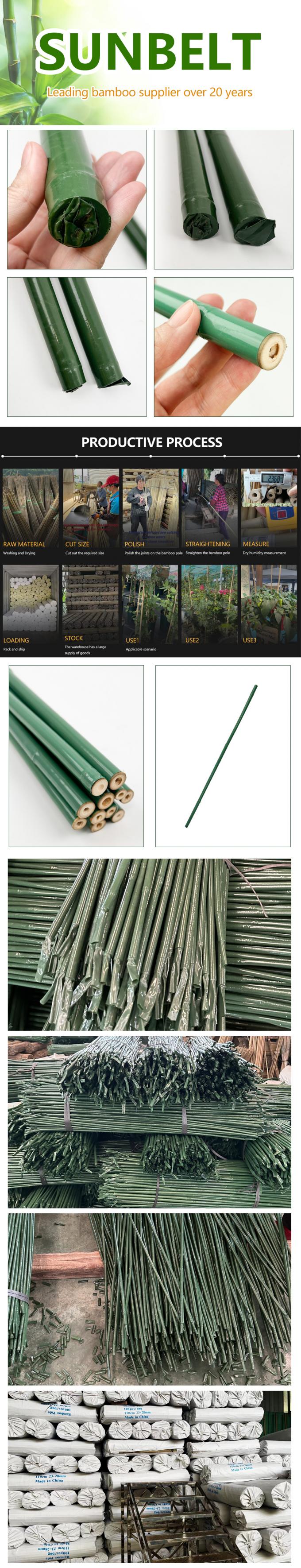 چوب بامبو پوشیده از پلاستیک ضد آب و هوا برای باغبانی / استفاده در فضای باز 0