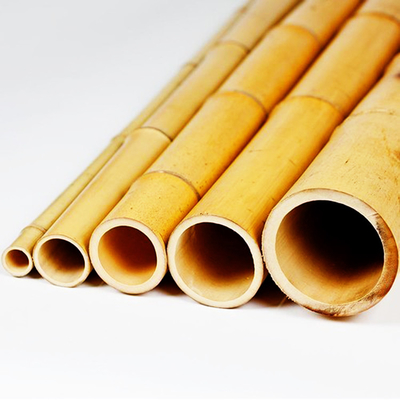 دوستدار محیط زیست 3 اینچ Moso Bamboo Pole Stakes بامبو برای تزئین گیاه زرد