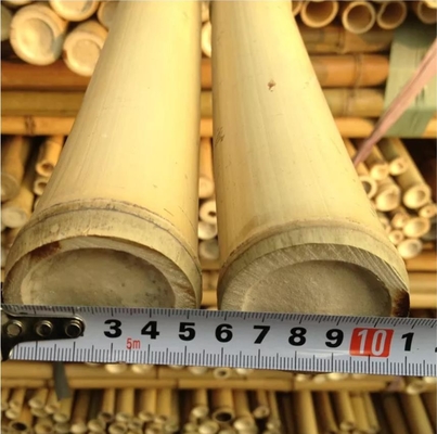 دوستدار محیط زیست 3 اینچ Moso Bamboo Pole Stakes بامبو برای تزئین گیاه زرد