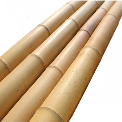 18mm تا 160mm قطر چوب بامبو Moso قطب بامبو ساخت و ساز کشاورزی