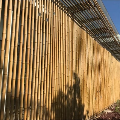 18mm تا 160mm قطر چوب بامبو Moso قطب بامبو ساخت و ساز کشاورزی