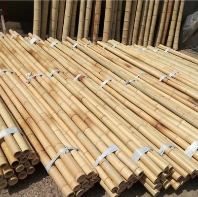 میله های بامبو موسو خام طبیعی 2cm 3cm 4cm 5cm 6cm 8cm 10cm قطر