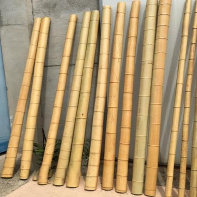 مبلمان باغ میله های بامبو طبیعی به صورت مستقیم برای باغ به طول 16 سانتی متر