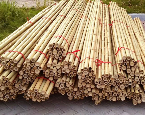 مبلمان باغ میله های بامبو طبیعی به صورت مستقیم برای باغ به طول 16 سانتی متر