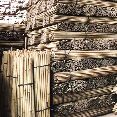 چوب بامبو باغ طبیعی برای گوجه فرنگی در فضای باز داخلی گیاهان گلدانی از سهام حمایت می کنند