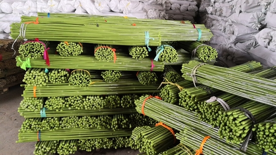 40cm 60cm 90cm 120cm طول میله های بامبو سبز رنگ سبز