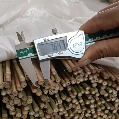 چوب بامبو 100% خام چوب بامبو 0.004 متر تا 0.014 متر قطر