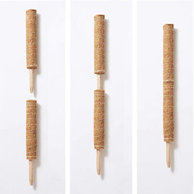 میله خزه برای گیاهان رونده 30 سانتی‌متر 40 سانتی‌متر 60 سانتی‌متر 90 سانتی‌متر پایه نگهدارنده توتم الیاف نارگیل طبیعی