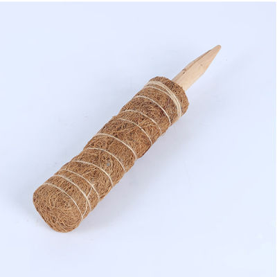 میله خزه برای گیاهان رونده 30 سانتی‌متر 40 سانتی‌متر 60 سانتی‌متر 90 سانتی‌متر پایه نگهدارنده توتم الیاف نارگیل طبیعی