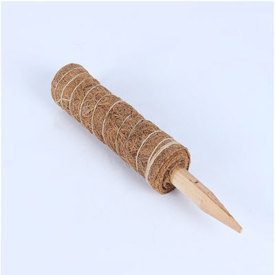 میله خزه برای گیاهان رونده 30 سانتی‌متر 40 سانتی‌متر 60 سانتی‌متر 90 سانتی‌متر پایه نگهدارنده توتم الیاف نارگیل طبیعی