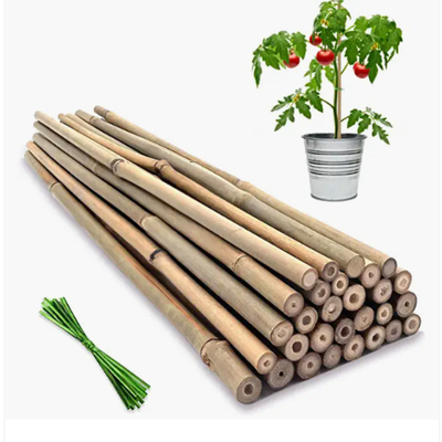 Moso Row Bamboo Poles Canes Stakes Sticks کشاورزی ساپورت باغبانی دکوراسیون