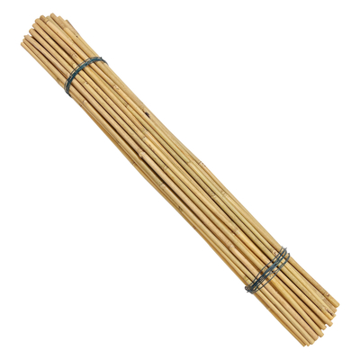 Moso Row Bamboo Poles Canes Stakes Sticks کشاورزی ساپورت باغبانی دکوراسیون