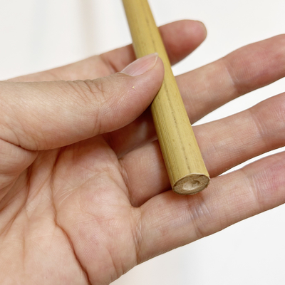 Moso Row Bamboo Poles Canes Stakes Sticks کشاورزی ساپورت باغبانی دکوراسیون