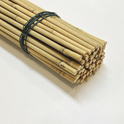 Moso Row Bamboo Poles Canes Stakes Sticks کشاورزی ساپورت باغبانی دکوراسیون