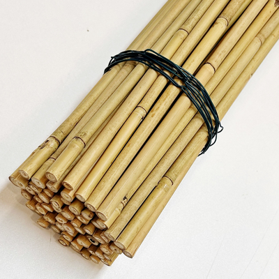 Moso Row Bamboo Poles Canes Stakes Sticks کشاورزی ساپورت باغبانی دکوراسیون