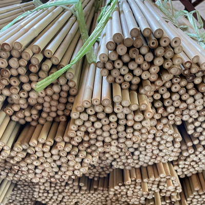 عصای بامبو خام رنگارنگ میله های بامبو برای کشاورزی باغ