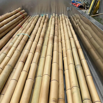 18mm تا 160mm قطر چوب بامبو Moso قطب بامبو ساخت و ساز کشاورزی