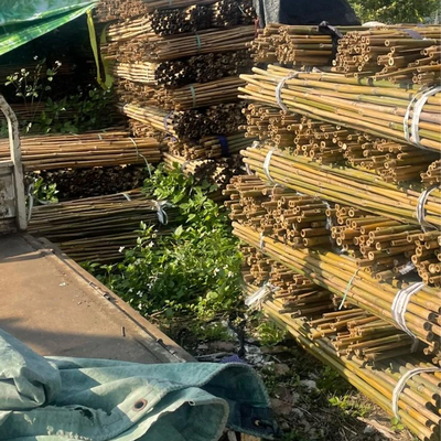18mm تا 160mm قطر چوب بامبو Moso قطب بامبو ساخت و ساز کشاورزی