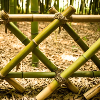 دوستدار محیط زیست 3 اینچ Moso Bamboo Pole Stakes بامبو برای تزئین گیاه زرد