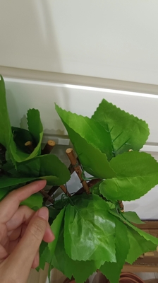 حصار حصیر حصیری گیاه سبز پلاستیکی تزئینی حصار برگ مصنوعی برای فضای باز