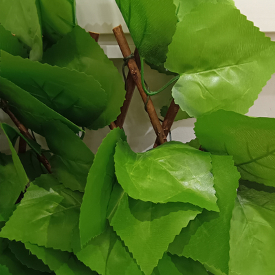 حصار مصنوعی تلسکوپی پرچین باغ حصار پلاستیکی برای دکوراسیون فضای باز