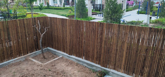 حصار 2x1.5 متری بامبو صفحه نمایش حصار بامبو حیاط خلوت باغ خانه تزئینی