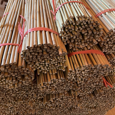 میله های بامبو خام 10 سانتی متری