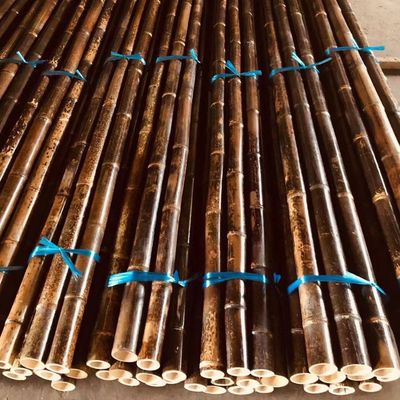 میله بامبو خام 120 سانتی متری
