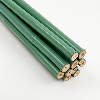 مرسوم سبز PVC پوشانده بامبو درمان شده پشتیبانی گل تونکین بامبو قطب لوله پلاستیکی