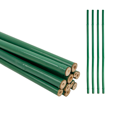 مرسوم سبز PVC پوشانده بامبو درمان شده پشتیبانی گل تونکین بامبو قطب لوله پلاستیکی