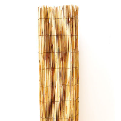 حصار نی: راهی سازگار با محیط زیست و چند منظوره برای افزودن حریم خصوصی و سایه