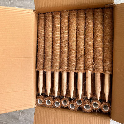 تکیه‌گاه گیاه چوب نارگیل محکم برای بالا رفتن گیاهان رونده