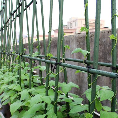 90cm L 8mm قطر گیاهان پشتیبانی چوب فولادی طراحی جدید پلاستیک پوشش باغ Trellis برای گلخانه های راحت