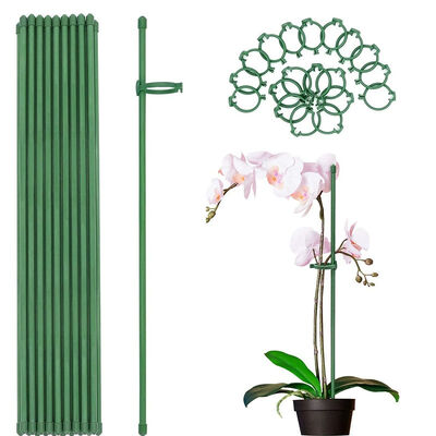 چوب فلزی پوشیده از پلاستیک چوب باغ سبز برای حمایت از گیاهان گیاه کوهنوردی حصار چشم انداز